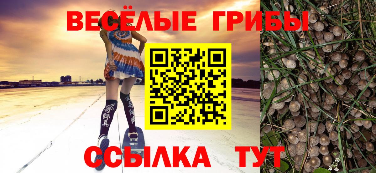 Галлюциногенные грибы Psilocybe  дарнет шоп  Амурск  Вход с VPN 