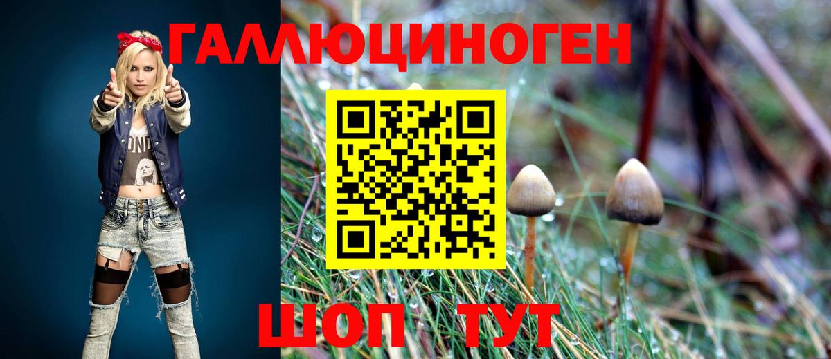 Псилоцибиновые грибы Cubensis Амурск